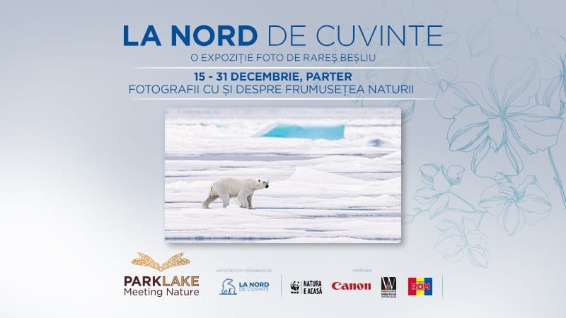 Expoziția NORD de cuvinte în #ParkLake