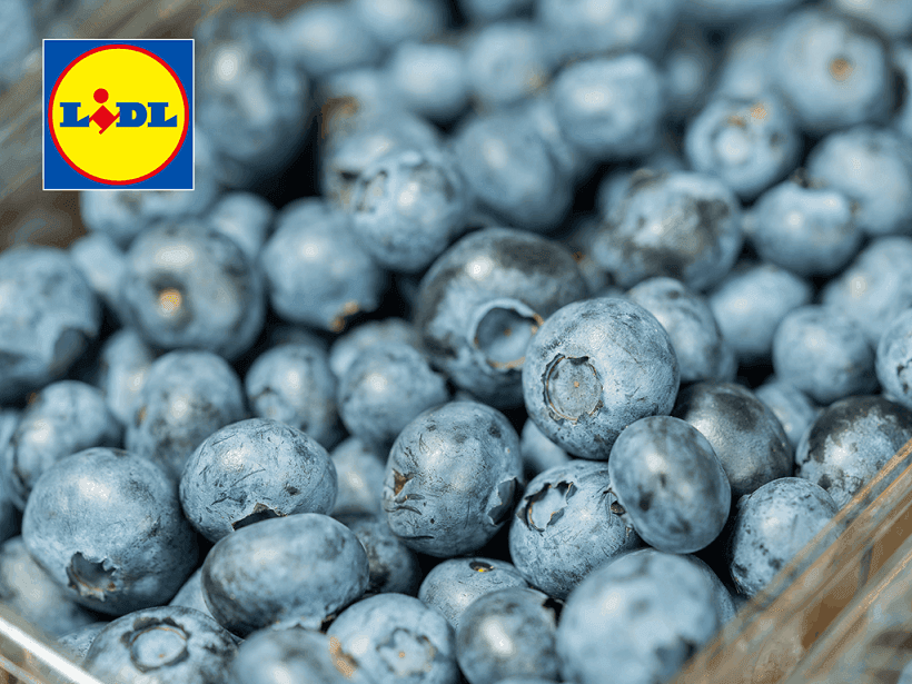 Lidl România continuă să sprijine economia românească prin facilitarea exporturilor către magazine din afara țării