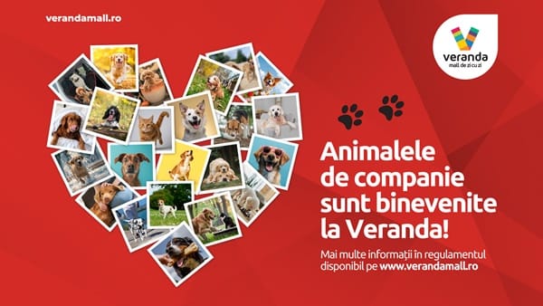 Veranda Mall a devenit pet friendly! Cum să-ți planifici vizita de shopping și relaxare, alături de prietenul blănos Veranda Mall a devenit pet friendly! Cum să-ți planifici vizita de shopping și relaxare, alături de prietenul blănos