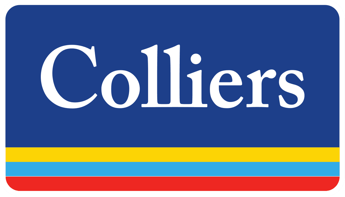 Colliers: România conduce în creșterea retailului nealimentar din UE, cu un consum la maxime istorice și potențial de expansiune
