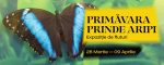 Mega Mall găzduiește în perioada 28 martie – 9 aprilie, o expoziție inedită de fluturi tropicali