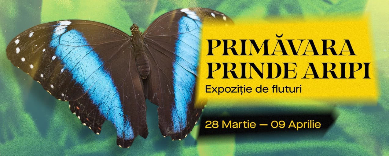 Mega Mall găzduiește în perioada 28 martie – 9 aprilie, o expoziție inedită de fluturi tropicali