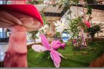 Campania de responsabilitate socială „Promenada Inimilor” ajunge la a 5-a ediție și susține Asociația Mâini Unite