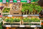 Lidl România anunță că, începând cu 24 martie, clienții vor găsi în Piața Lidl un sortiment de verdețuri integral produse în România