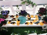 Expoziție de fluturi tropicali la Shopping City Galați, în perioada 30 aprilie – 4 mai: peste 150 de specii