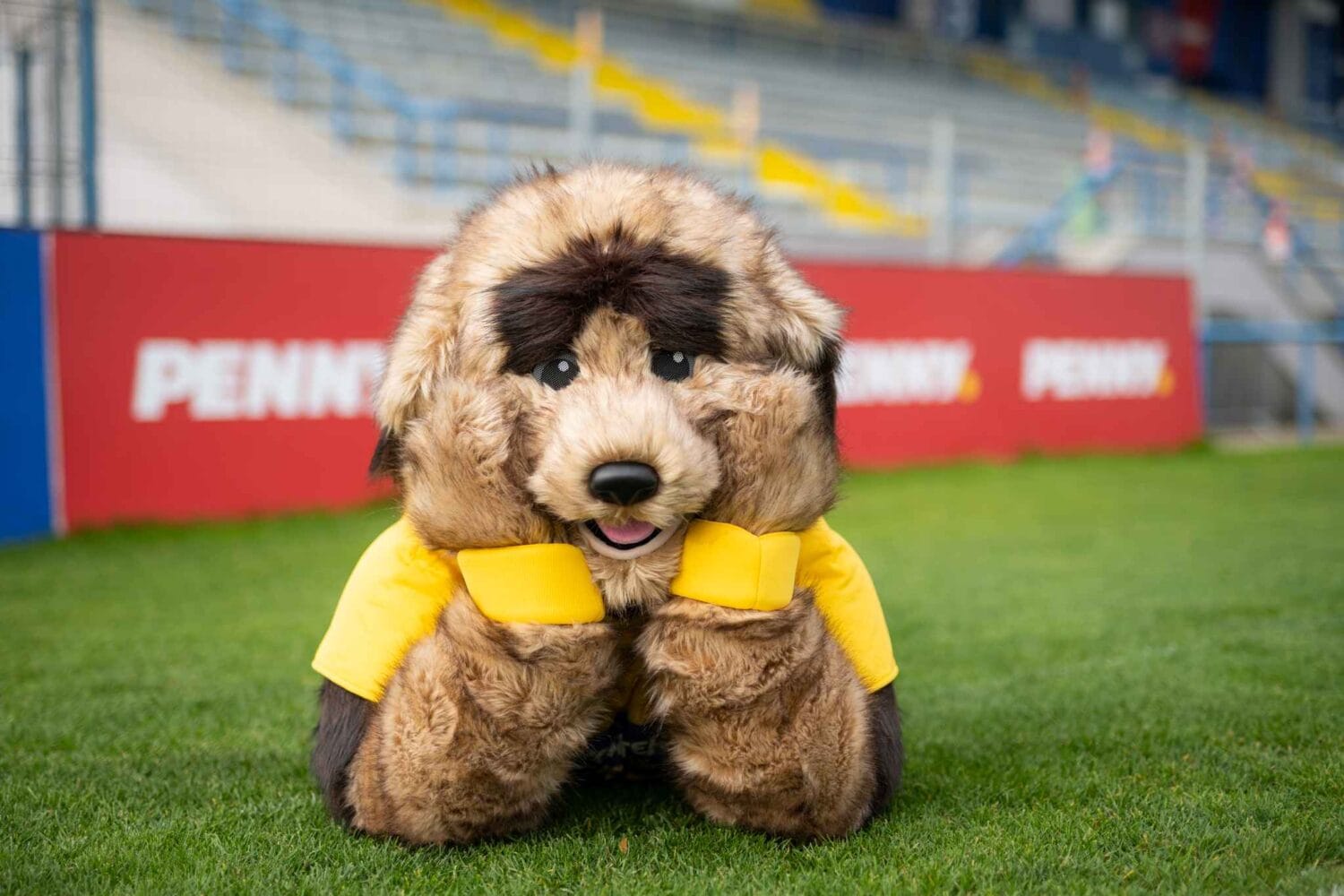 PENNY deschide sezonul fotbalistic cu activări speciale și cu RONNY în mijlocul fanilor