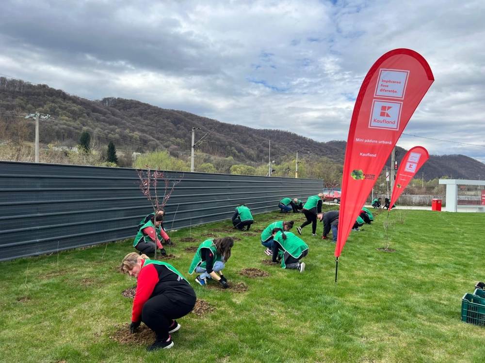 Kaufland România continuă plantarea de mini-păduri urbane în zona parcărilor exterioare ale magazinelor, un demers început în 2023, unic în retailul românesc