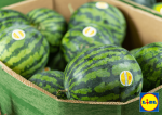 Lidl România susține agricultura locală: 5 tipuri de pepeni cultivați 100% în România, acum în magazinele din toată țara, la cel mai bun raport calitate-preț