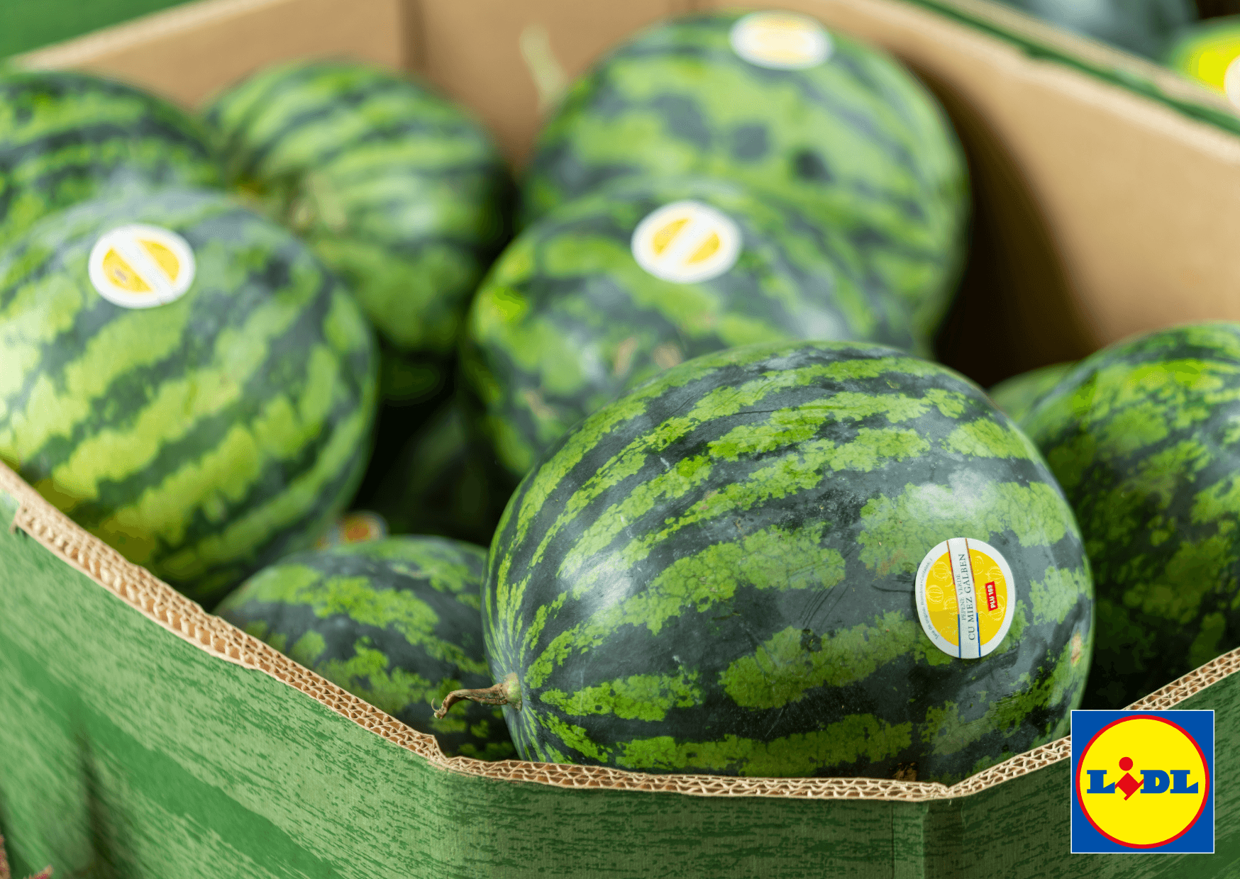 Lidl România susține agricultura locală: 5 tipuri de pepeni cultivați 100% în România, acum în magazinele din toată țara, la cel mai bun raport calitate-preț