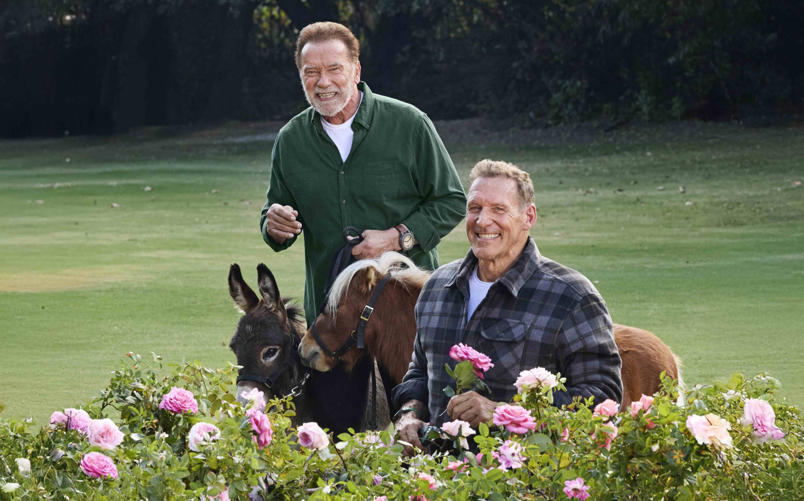 Puterea lui împreună: marca de bricolaj PARKSIDE lansează o nouă campanie cu actorii Arnold Schwarzenegger și Ralf Moeller Puterea lui împreună: marca de bricolaj PARKSIDE lansează o nouă campanie cu actorii Arnold Schwarzenegger și Ralf Moeller