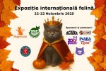 Centrul Comercial Auchan Titan găzduiește WCF International Cat Show cu peste 180 de pisici de rasă