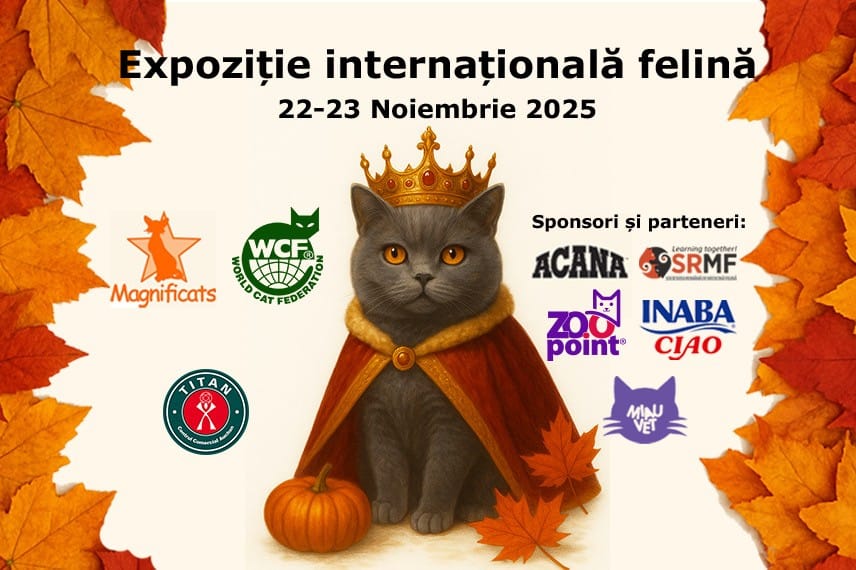 Centrul Comercial Auchan Titan găzduiește WCF International Cat Show cu peste 180 de pisici de rasă