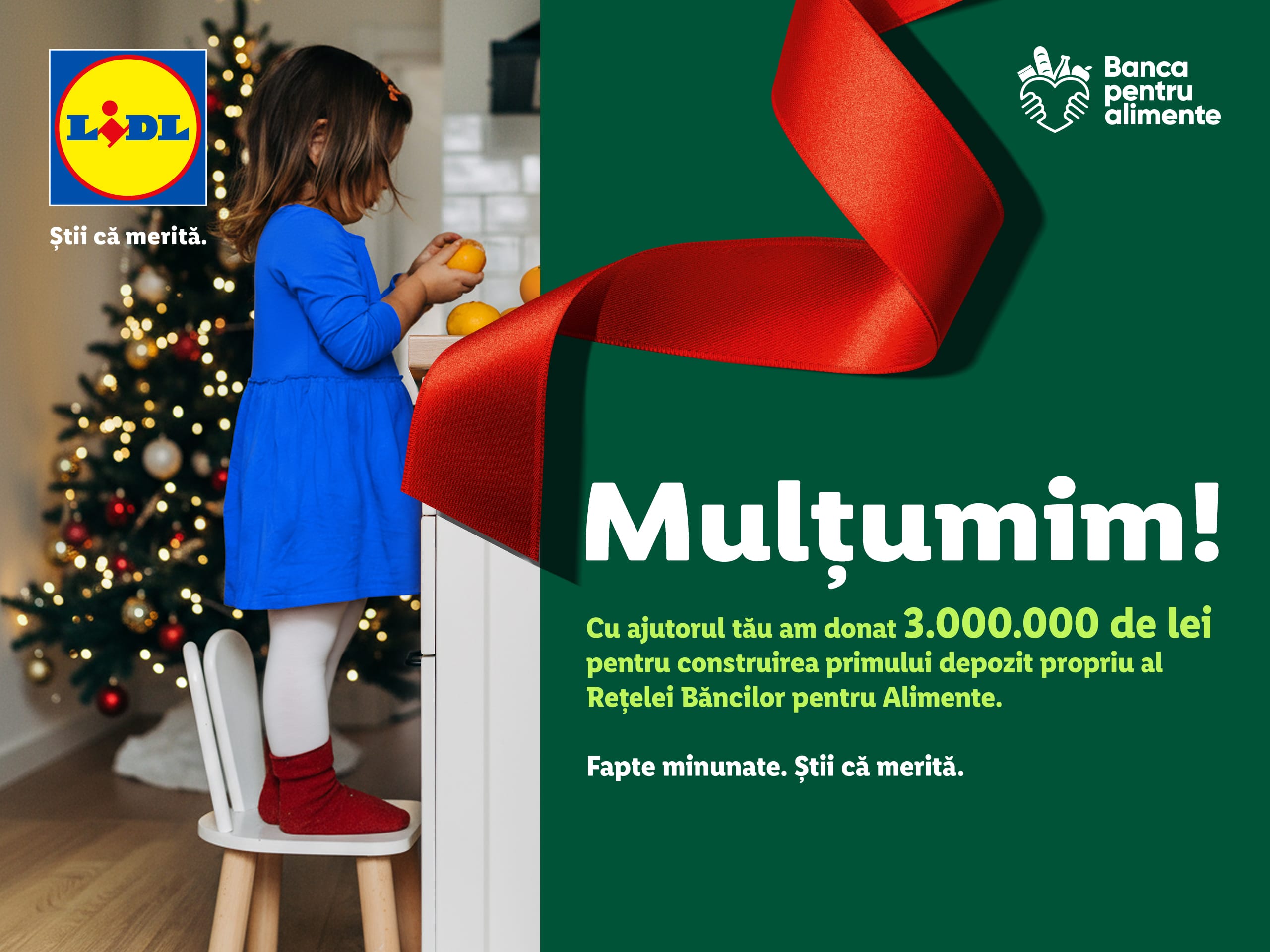 Lidl România donează 3.000.000 de lei către Rețeaua Băncilor pentru Alimente