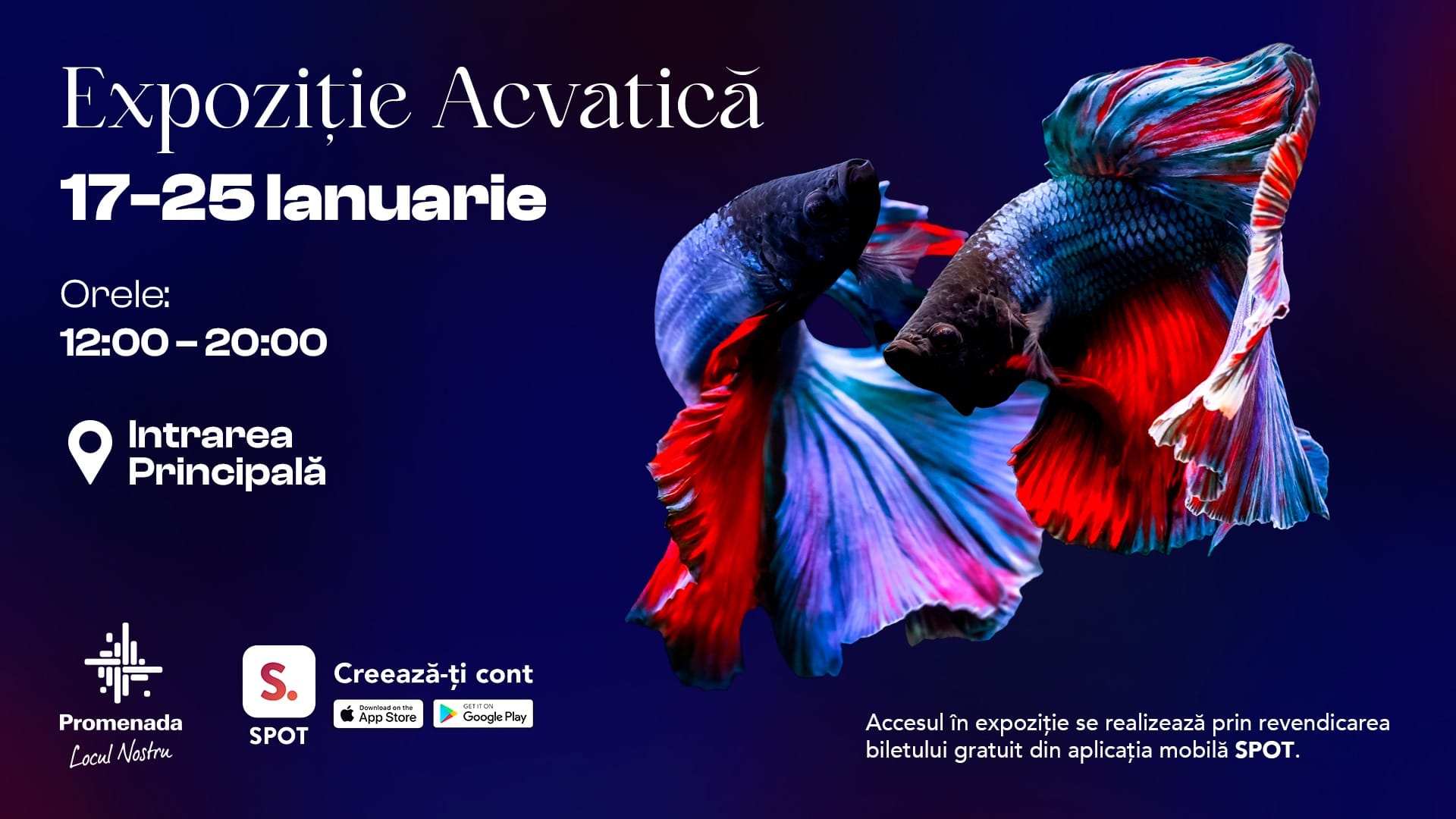 Promenada Craiova aduce la început de an o expoziție acvatică spectaculoasă