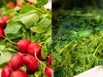 Primele verdețuri de anul acesta, cultivate integral în România, au ajuns în Piața Lidl la cel mai bun raport calitate-preț