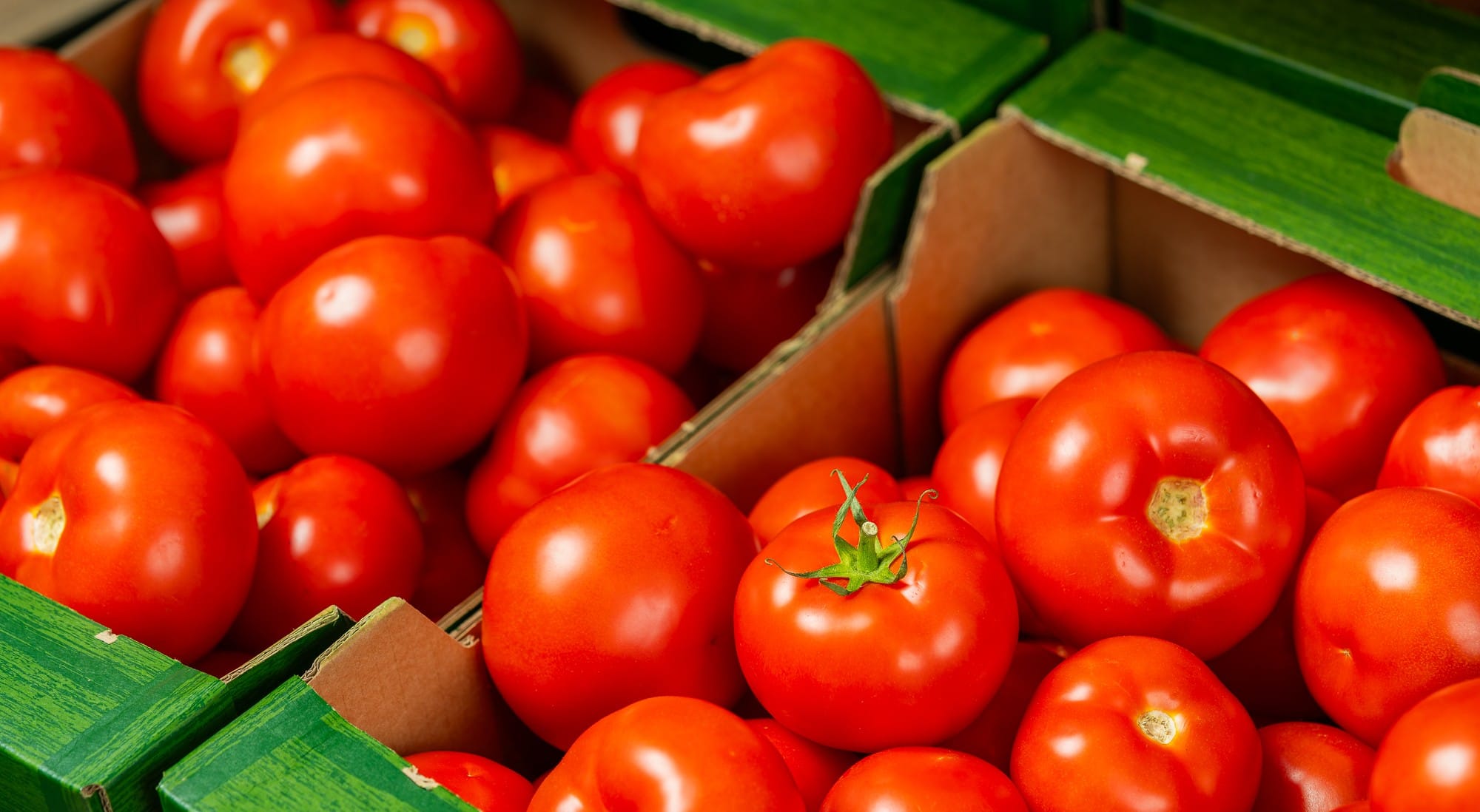 100% roșii românești la raft. Lidl România marchează un an record al achizițiilor de la producătorii locali