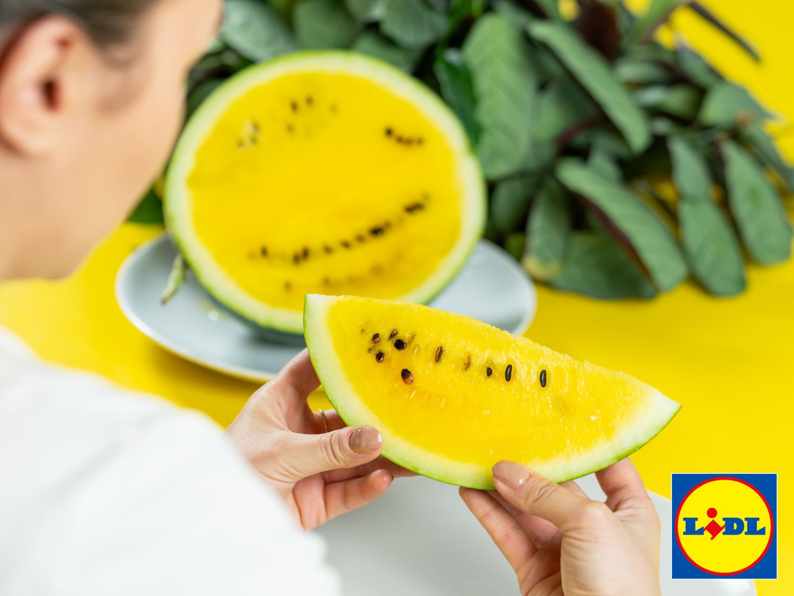 Datorită parteneriatelor cu furnizorii locali, Lidl are la raft 100% pepeni românești și a exportat către magazinele din Polonia și Slovacia