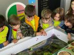 Caravana Akademia Kinderland și Carmen Brumă, într-o nouă călătorie pentru sănătatea copiilor
